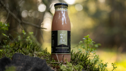 Nürburger Logo mit Hubertuskreuz – Symbol für nachhaltige Jagd und Tradition