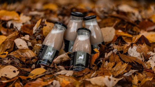 Hund läuft durch Herbstlaub – Tipps für die Herbstzeit