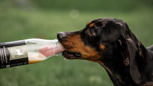 Hund frisst Nürburger Hirschbrühe – Kundenliebling