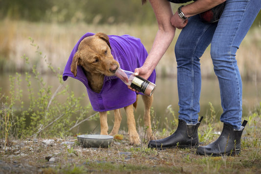 Nürburger — Hundekekse backen