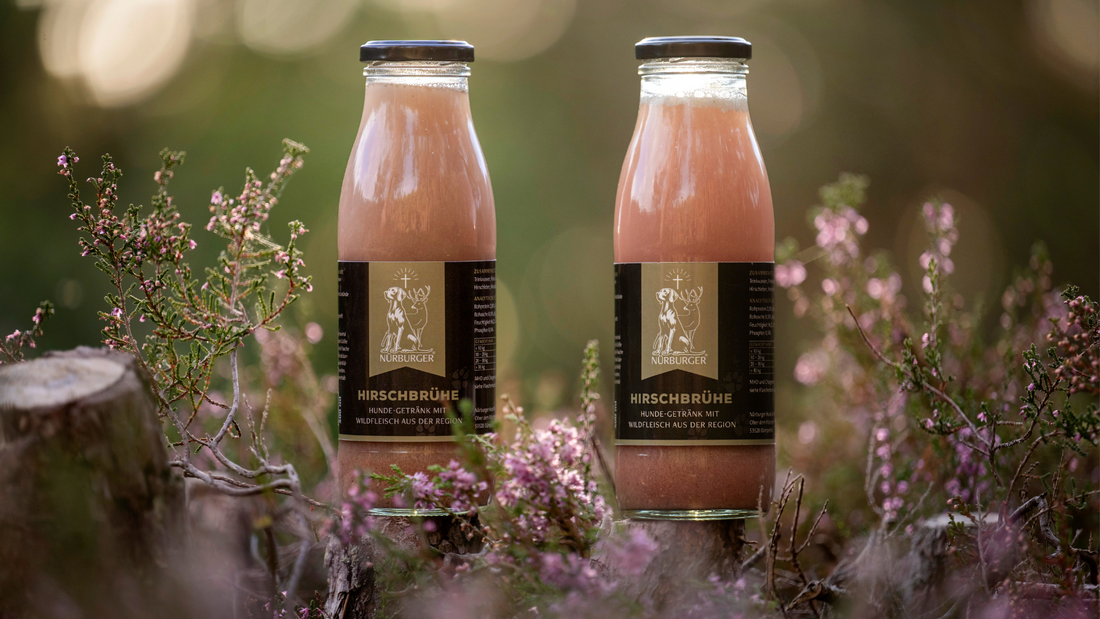 Nürburger Logo mit Hubertuskreuz – Symbol für Jagd, Natur und Verantwortung