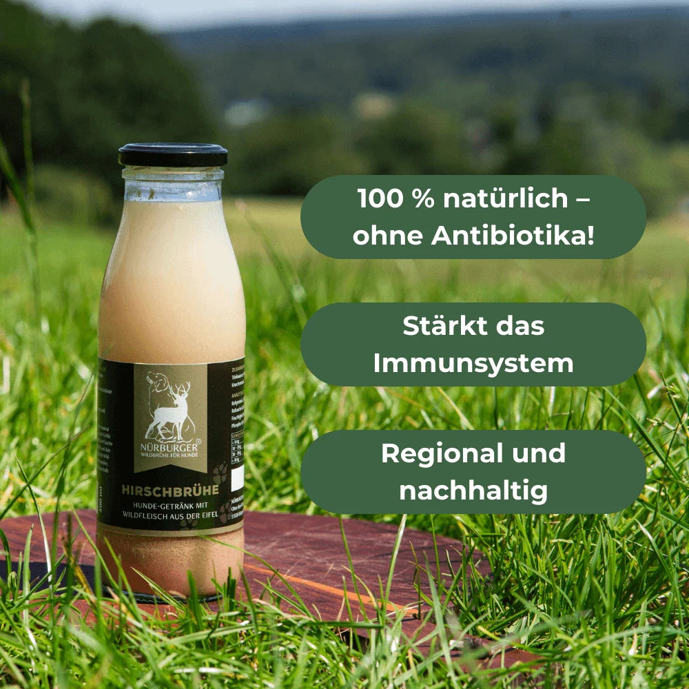 Hund trinkt Nürburger Wildbrühe - Nürburger Wildbrühe (Schweiz) - 100% natürlich