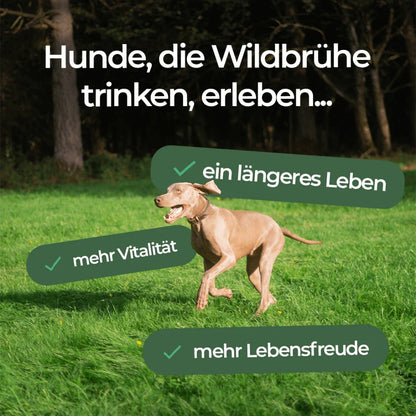 Nürburger Wildbrühe (Schweiz) Wildbrühe - Reich an Proteinen und Omega-3