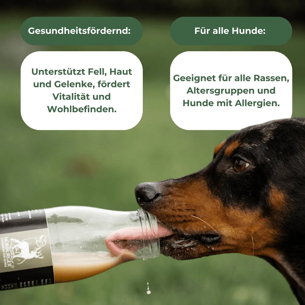 Glasflasche Nürburger Wildbrühe - Nürburger Wildbrühe (Schweiz) - Nachhaltig recyclebar