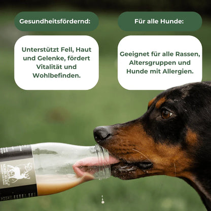 Glasflasche Nürburger Wildbrühe - Nürburger Wildbrühe (Schweiz) - Nachhaltig recyclebar