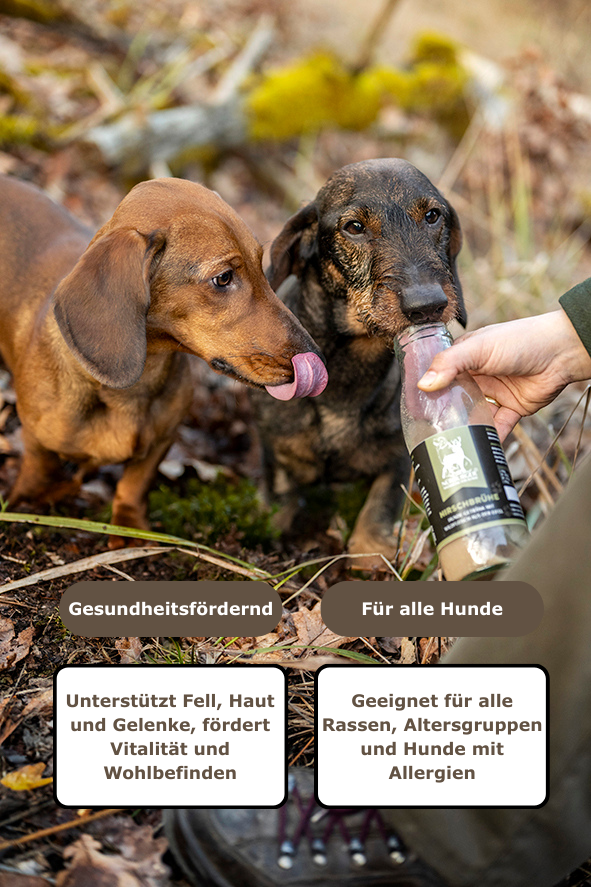 Glasflasche Nürburger Wildbrühe - Nürburger Wildbrühe (B2B) - Nachhaltig recyclebar